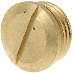 Galinio vožtuvo dangtelis A1219