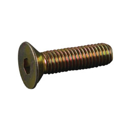 Įleidžiamas varžtas 947309578506AGS