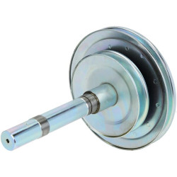 Pagrindinis velenas AA160156