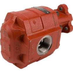 Siurblys FP30.100D0-19T1 LGG/GG-N FP30100D