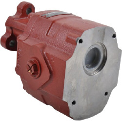 Tandeminis siurblys FP 30.34 B0-19T1-LG FP3034BI