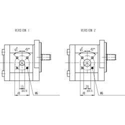 Hidraulinis siurblys AZPF-10-004-R 0510225013