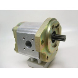 Hidraulinis siurblys AZPF-12-019-R 0510625029