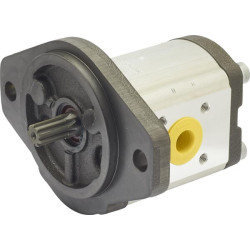 Hidraulinis siurblys AZPF-21-025-R 0510725156