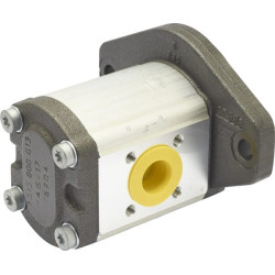 Hidraulinis siurblys AZPF-21-025-R 0510725156