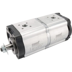 Hidraulinis siurblys dvigubas 16 ir 14 ccm 01175992N