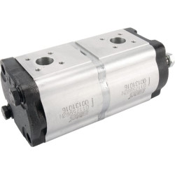 Hidraulinis siurblys dvigubas 16 ir 14 ccm 01175992N