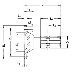 Velenas su flanšo skersmeniu 120 1.3/4-6 1609108