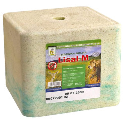 Druskos laižymo blokelis 1617SOL0101