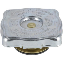 Radiatoriaus dangtelis 1000270651