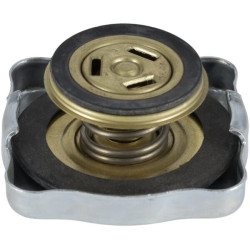 Radiatoriaus dangtelis 1000270651