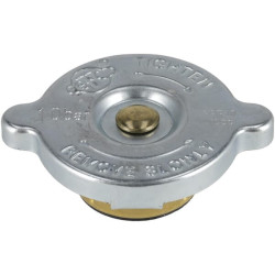 Aušintuvo dangtelis 1000199394