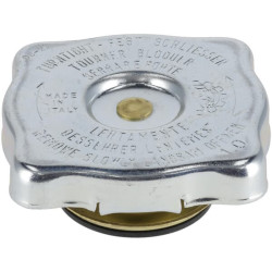 Radiatoriaus dangtelis 1000405933