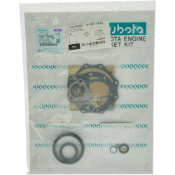 Variklio tarpinių komplektas 1G00799363