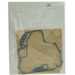 Variklio tarpinių komplektas 1G00799363