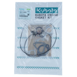 Variklio tarpinių komplektas 1G01299355