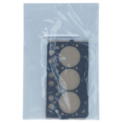 Variklio tarpinių komplektas 1G01299355