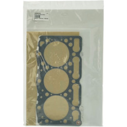 Variklio tarpinių komplektas 1G06999354