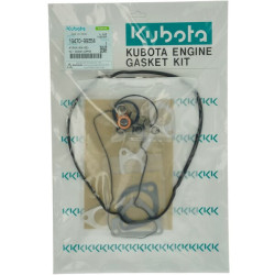 Variklio tarpinių komplektas 1G47099354