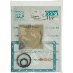 Variklio tarpinių komplektas 1G87399366