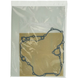 Variklio tarpinių komplektas 1G87399366