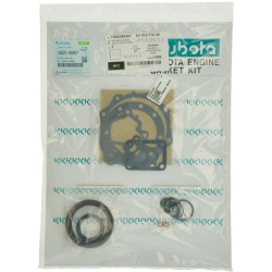 Variklio tarpinių komplektas 1G82099367