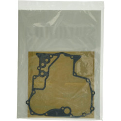 Variklio tarpinių komplektas 1G82099367