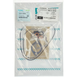 Variklio tarpinių komplektas 1G43999354