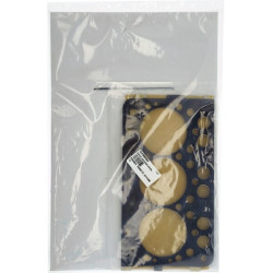 Variklio tarpinių komplektas 1G43999354