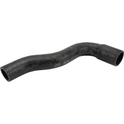 Viršutinė vandens žarna MA242523