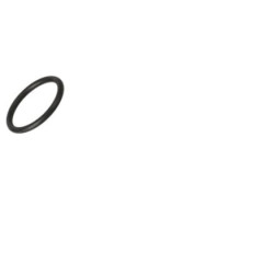 O formos žiedas 17282280FPT