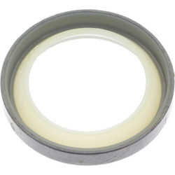 Sandariklis 22K7021540