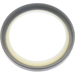 Sandariklis 21W7041440