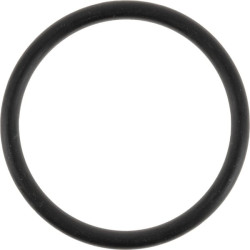 O formos žiedas 0700003040