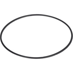 O formos žiedas 0700012125