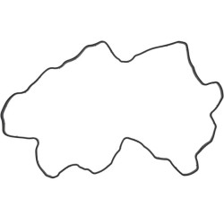 Vožtuvo dangtelio tarpinė CU5309255