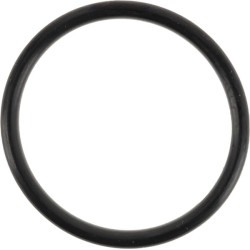 O formos žiedas 0700013040