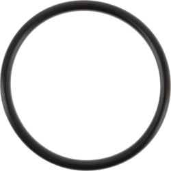 O formos žiedas 0700013048