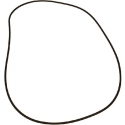 Massey Ferguson 3115 VPJ7344 O žiedas