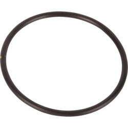 Massey Ferguson 3120 4224236M1 vandens siurblio sandarinimo žiedas