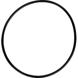 Massey Ferguson 3125 359200X1 O formos žiedas