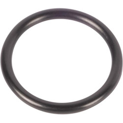 Massey Ferguson Įvairių modelių 365392X1 O žiedas