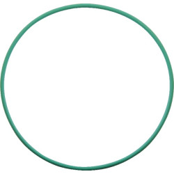 Massey Ferguson 8S.265 StageV, Dyna7 (LB203038-) X548994700000 O žiedas