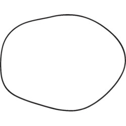 Massey Ferguson 7S.155 StageV, Dyna6 4301296M3 stabdžių sandarinimo žiedas