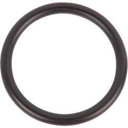 Case - IH 8930 129963N O žiedas