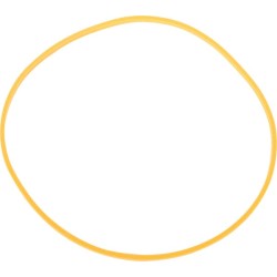 Case - IH 8940 1286028C2 žiedas