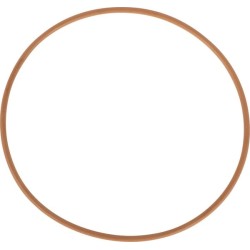 Case - IH 8940 87016961 O formos žiedas