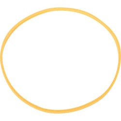 Case - IH 8950 1286077C1 žiedas