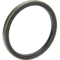 Massey Ferguson 7724 Dyna 6 Sn.F090045-9999999 7550608201 Atraminis žiedas