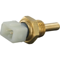 Massey Ferguson 7726 Dyna VT Sn.F026053-9999999 3618249M3N Temperatūros siųstuvas M14 x 1,5